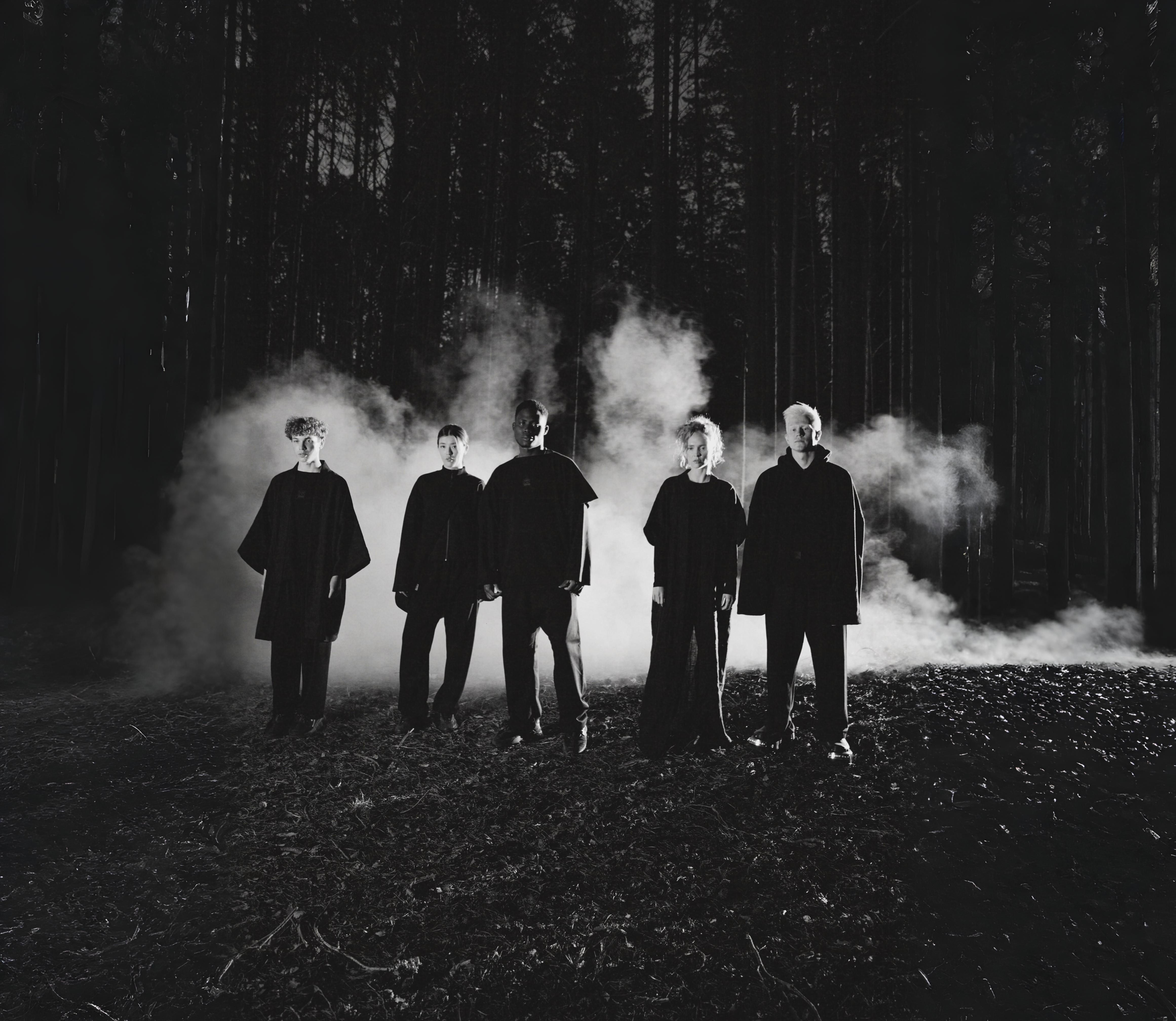 Creative hub team in atmospheric forest setting